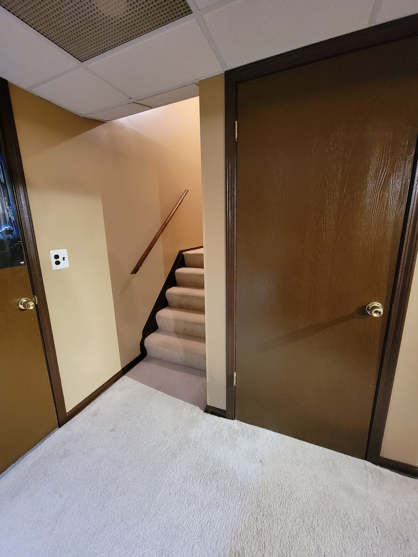 A painted door and trim at a stairway — Home Strategy LLC, Michigan